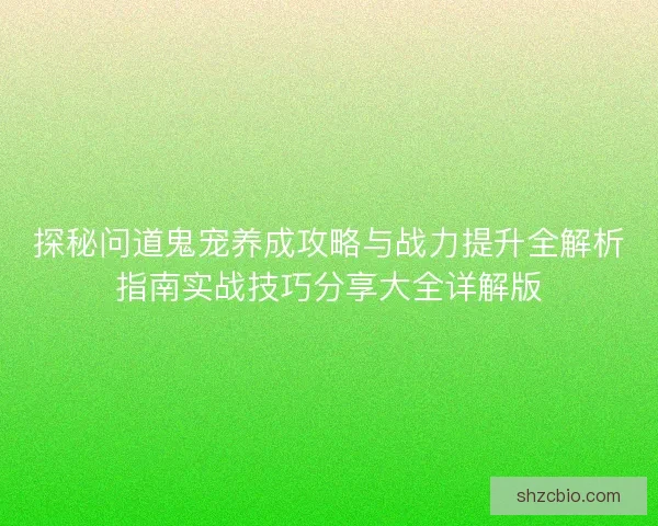探秘问道鬼宠养成攻略与战力提升全解析指南实战技巧分享大全详解版