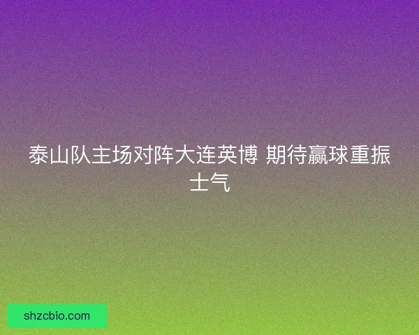 泰山队主场对阵大连英博 期待赢球重振士气