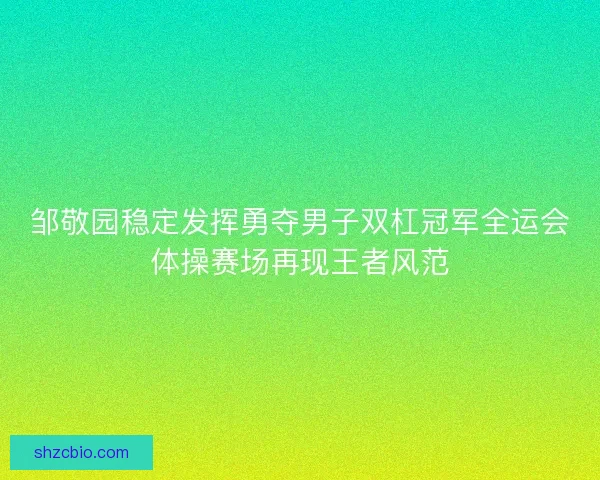邹敬园稳定发挥勇夺男子双杠冠军全运会体操赛场再现王者风范